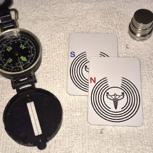 PB5 - Placa Bipolar para Magnetoterapia - 600 Gauss